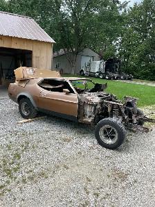 mustang 73