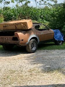 mustang 73 - Photo 2