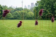 frames rental ( Gold rectangle frame, Arch frame , Circle frame)
