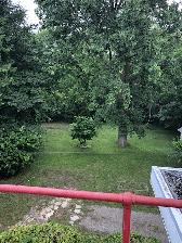2 Bed renovated apt in triplex- laundry, parking, yard & deck