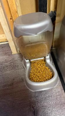 Manx cross cat with food/accessories - Photo 10