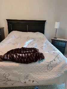 used 4pc bedroom queen bed - Photo 3