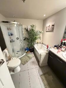Condo 3 ½ à louer – Disponible dès le 1er août 2026 - Photo 7