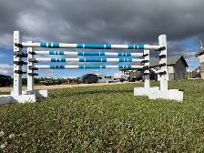 Horse Jump and Ground Rails - Photo 4