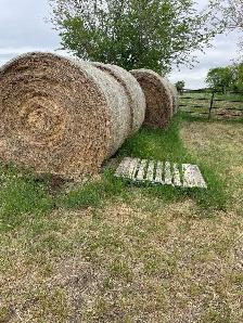 Hay For Sale