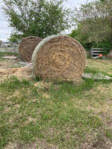 Hay For Sale - Photo 2