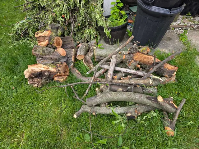 Free Apple Tree Wood
