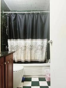 Walk to UTSC!Female Only Room for Rent – from Jul.1 - Photo 4