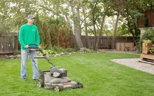 lawn mowing and tree trimming