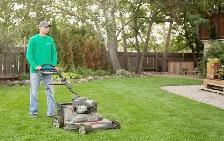 lawn mowing and tree trimming