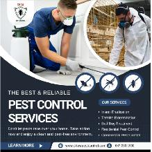 Pest Control Services in Milton, Brampton GTA - Photo 3