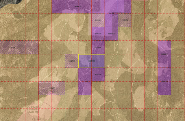 Perry Creek Placer Gold Claim for Sale