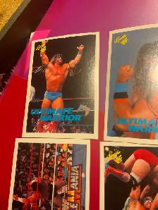 Ultimate Warrior 1990 cards lot of 7. WWF, WWE - Photo 2