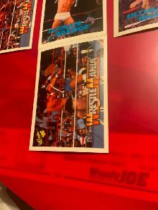 Ultimate Warrior 1990 cards lot of 7. WWF, WWE - Photo 8