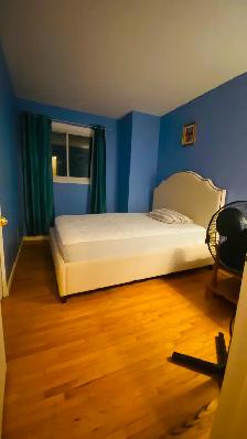 ROOM FOR RENT IN BEAUTIFUL HOME, D.D.O , 800$ EVERY INCLUDED - Photo 5