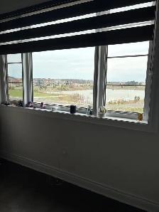 Masterbedroom for Rent - Photo 9