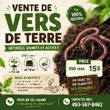 vers de terre pour la pêche ou autre
