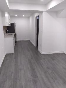 1 Bedroom 1 Bathroom Basement Apartment