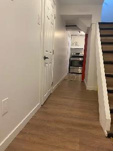 2 Bedroom 1 Bath Basement for Rent - Photo 4