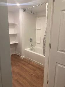 2 Bedroom 1 Bath Basement for Rent - Photo 5