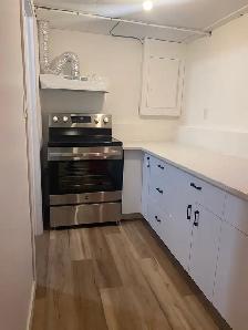 2 Bedroom 1 Bath Basement for Rent - Photo 9