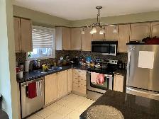 University of Guelph area student housing / rental - Photo 10