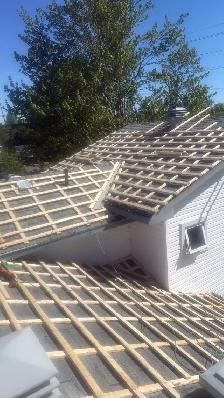 Roofing Labour / Apprenticeship