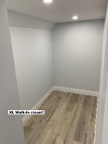 Beautiful 2 Bedroom Basement for Rent in Hamilton - Photo 13