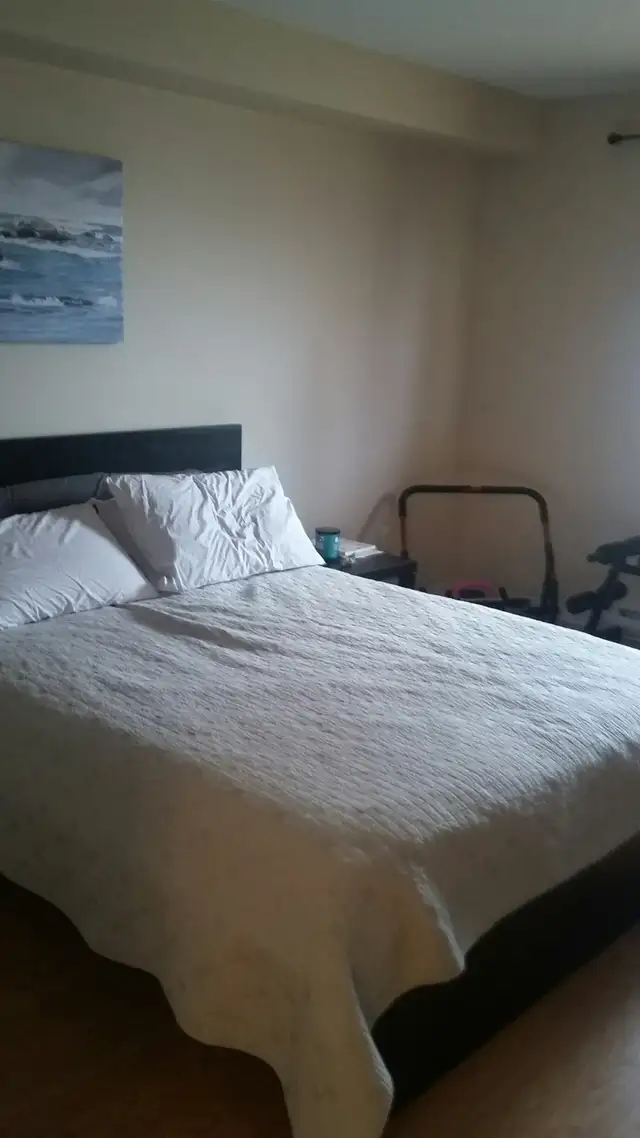 Room for rent in 2-bedroom condo at plateau