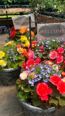 Greenhouse Plants - Photo 2