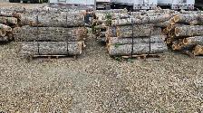Bundled poplar wood - Photo 3