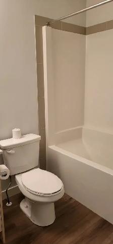 2 Bed 2 Bath Unit in Calgary, AB - Photo 7