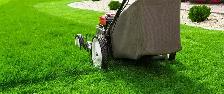 LAWN CARE SERVICE
