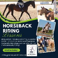 Horseback Riding Lessons!