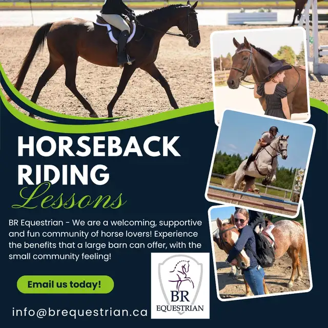 Horseback Riding lessons, Part Boarding, Camps and more!