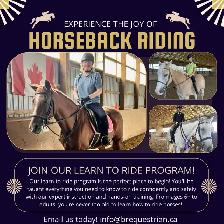 Horseback Riding lessons, Part Boarding, Camps and more! - Photo 2