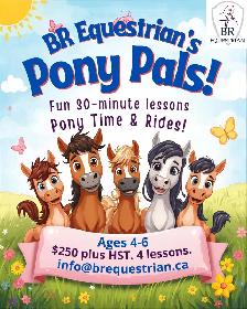 Horseback Riding lessons, Part Boarding, Camps and more! - Photo 4