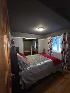 Bord de l'eau – Lac Connelly | Quai privé | 2 chambres | Long - Photo 9