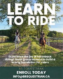 Learn to ride horses!