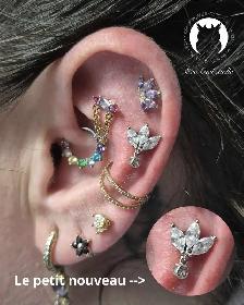 Cobayes piercings recherchés - Photo 2