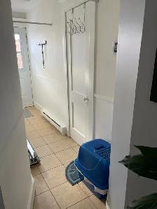 4 ½ libre 1er AOÛT / au RDC / secteur Vieux St-Jean - Photo 7