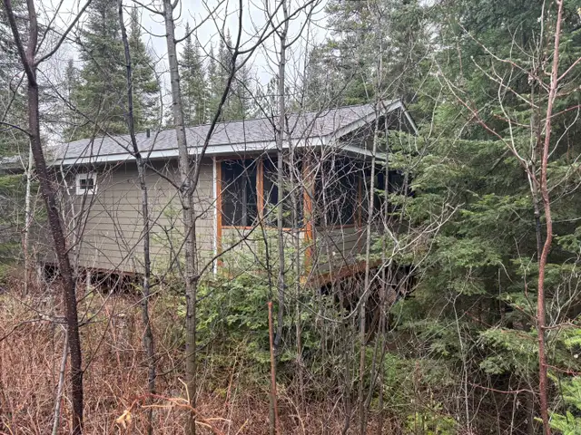 CABIN FOR SALE, GRANITE LAKE, ON - LAKEWOOD