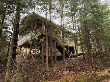 CABIN FOR SALE, GRANITE LAKE, ON - LAKEWOOD - Photo 7