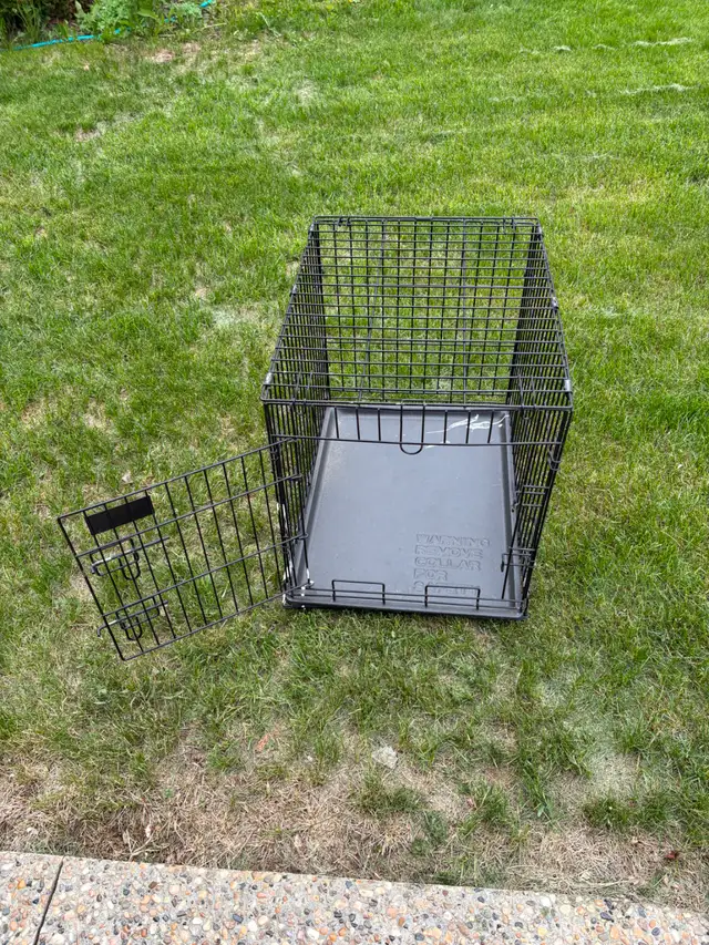 Dog kennel