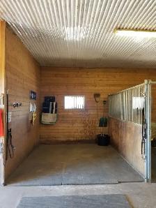 Indoor and Outdoor Horse Board! - Photo 6
