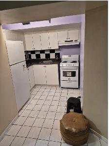 1-Bedroom Basement Apartment for Rent - Photo 4