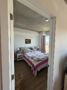 1 Bedroom Apartment for Rent - Photo 5