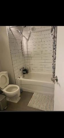 Apartement à louer 1 chambre à Hull - Photo 5