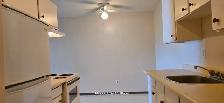 Carma Court #322 - Photo 3