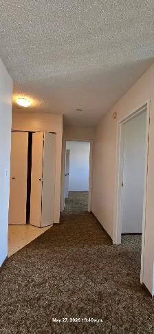 Carma Court #322 - Photo 8